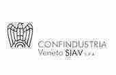logo siav