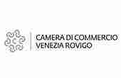 Camera di commercio Venezia Rovigo logo